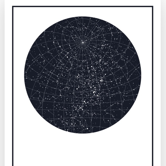 Meet your Posher, Talie - Picture 1 of 1